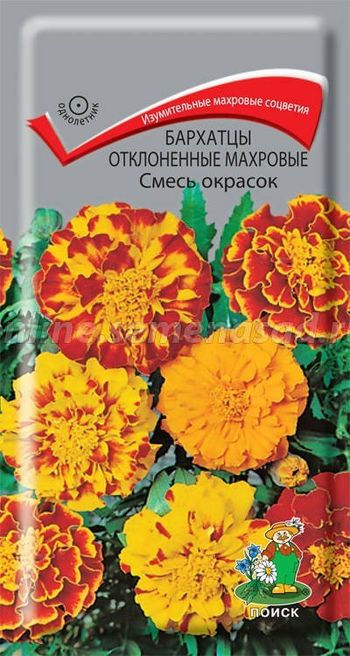 Бархатцы отклоненные махровые СМЕСЬ ОКРАСОК 0,3гр. (Поиск)