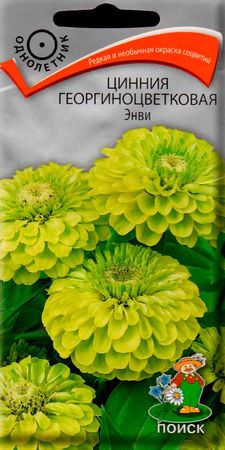 Цинния георгиноцветковая ЭНВИ (однолетник) 0,4гр. (Поиск)