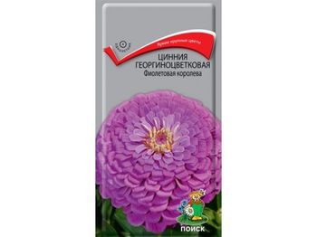 Цинния георгиноцветковая ФИОЛЕТОВАЯ КОРОЛЕВА 0,4гр. (Поиск)