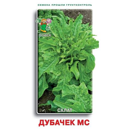 Салат ДУБАЧЕК МС 1,0гр. (Поиск)