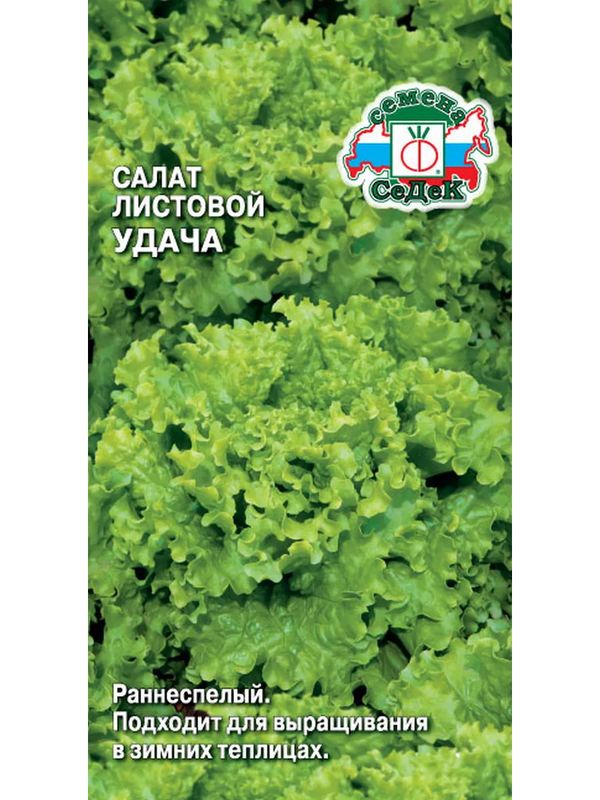 Салат УДАЧА (листовой) 0,5г. (СеДек)