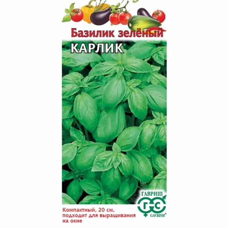 Базилик КАРЛИК зеленый 0,1г. (Гавриш)