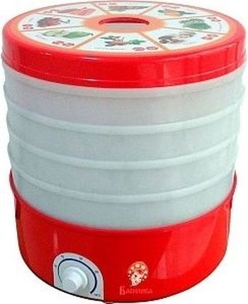 Электросушилка ВАСИЛИСА СОЗ-520 (4 яруса, 520Вт.)