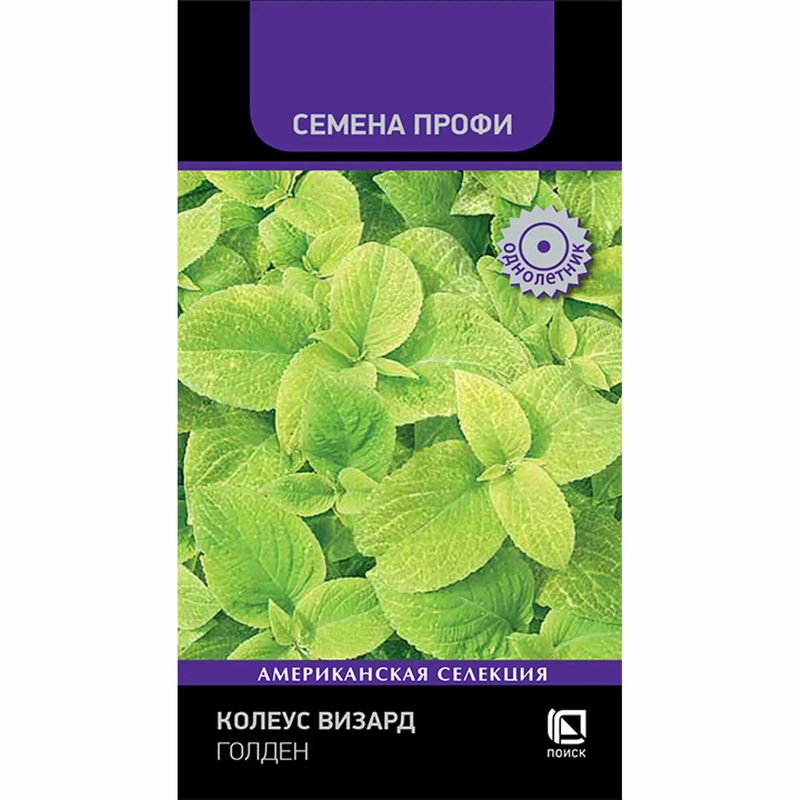 Колеус ВИЗАРД ГОЛДЕН  10шт. (Поиск)