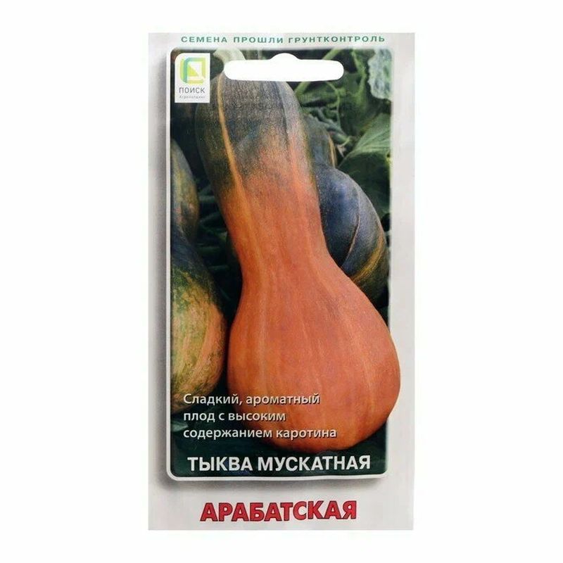 Тыква АРАБАТСКАЯ мускатная 10шт. (Поиск)