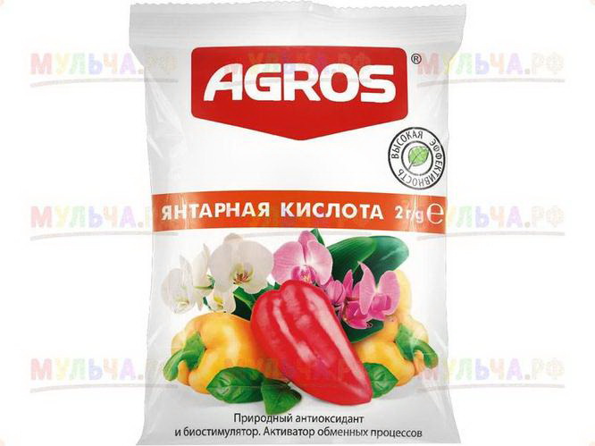 Янтарная кислота 2,0гр. (Бр)