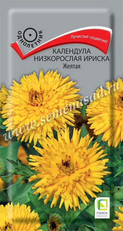Календула низкорослая ИРИСКА желтая 10шт. (Поиск)