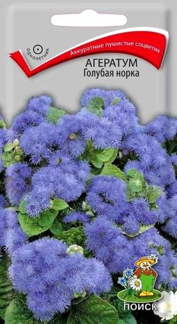 Агератум ГОЛУБАЯ НОРКА 0,1гр. (Поиск)