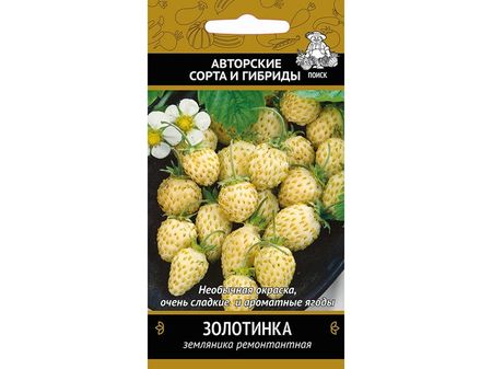 Земляника ЗОЛОТИНКА (ремонтантная) 100шт. (Поиск)