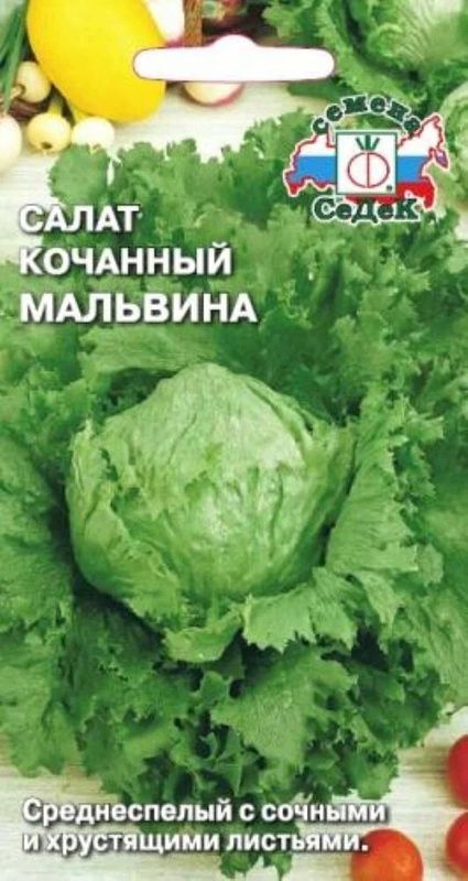 Салат МАЛЬВИНА (айсберг) 0,5г. (СеДек)