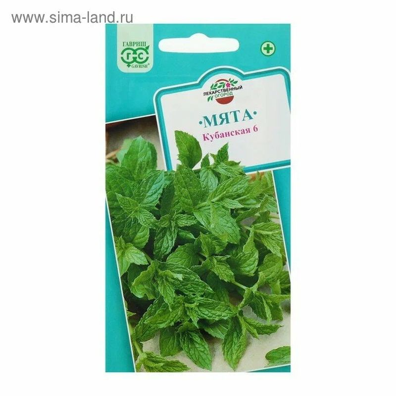 Мята КУБАНСКАЯ 6 0,05г. (Гавриш)