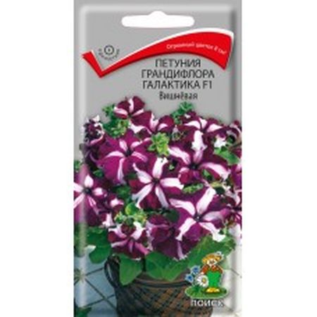 Петуния грандифлора ГАЛАКТИКА F1 вишневая 10шт. (Поиск)