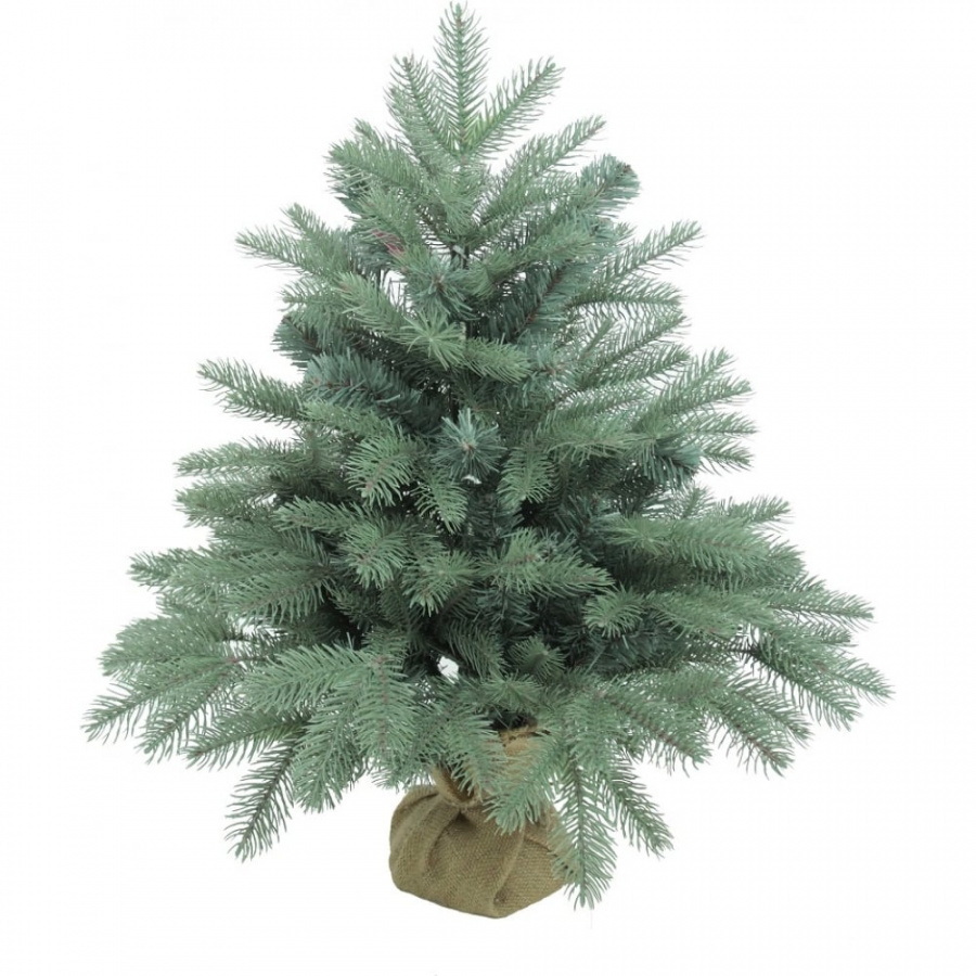 Ель "Blue Anson" 0,6м. 1035906 голубая