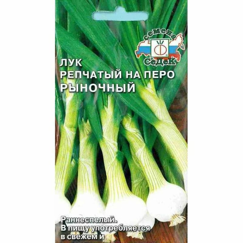 Лук репчатый РЫНОЧНЫЙ 1,0г. (на перо) (СеДек)