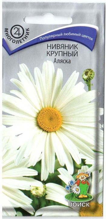 Нивяник крупный АЛЯСКА 0,5гр. многолетник (Поиск)