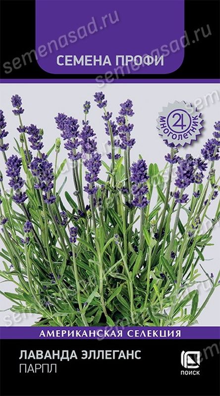 Лаванда ЭЛЛЕГАНС ПАРПЛ 10шт. многолетник (Поиск)