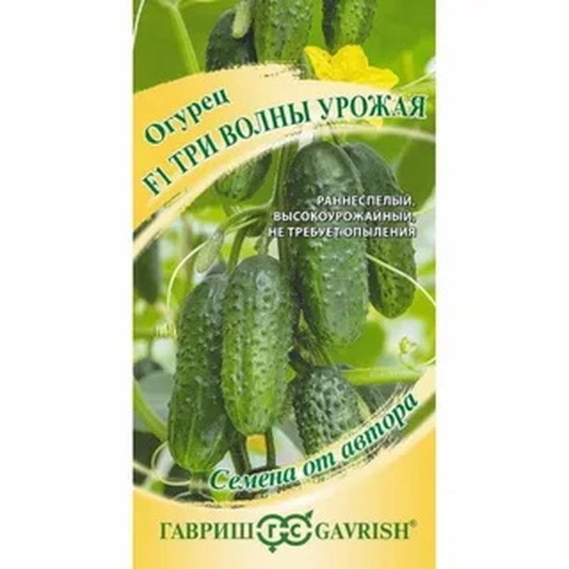 Огурец ТРИ ВОЛНЫ УРОЖАЯ F1 10шт. (Гавриш)