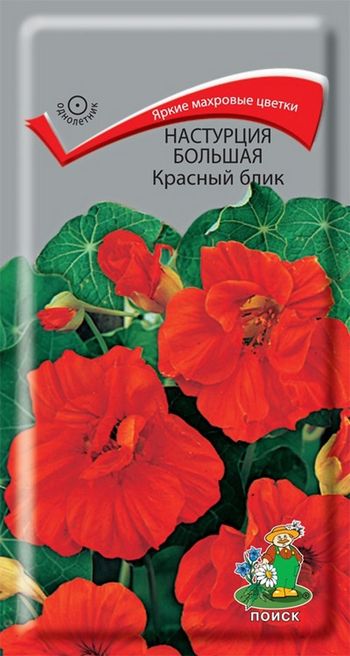 Настурция большая КРАСНЫЙ БЛИК 1,0гр. (Поиск)