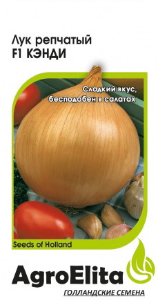 Лук репчатый КЭНДИ F1 0,2г. (Гавриш)