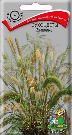 Сухоцветы Злаковые (однолетник) 0,3 гр (Поиск)