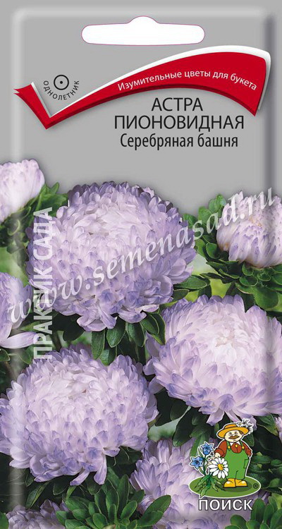 Астра Пионовидная СЕРЕБРЯНАЯ БАШНЯ 0,3гр. (Поиск)