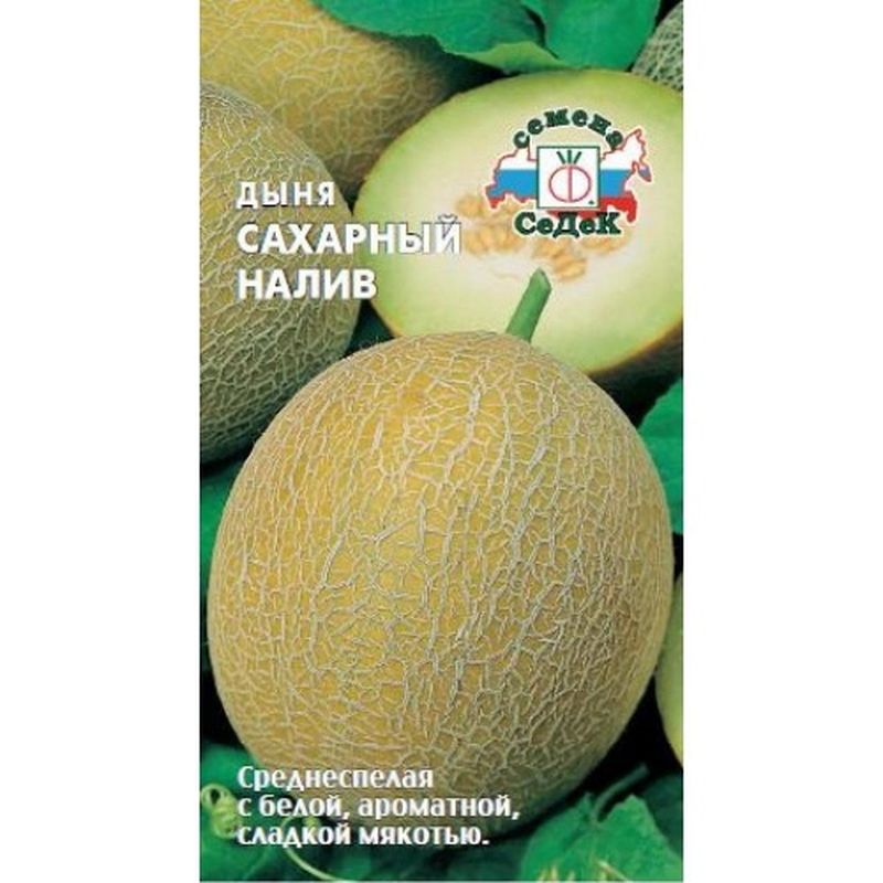 Дыня САХАРНЫЙ НАЛИВ 0,5г. (СеДек)