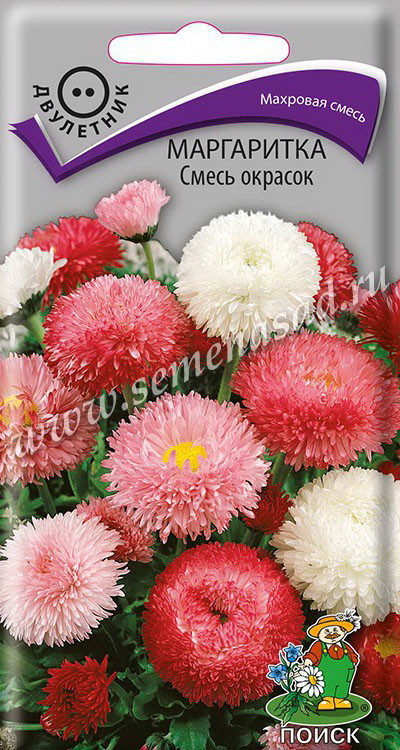 Маргаритка СМЕСЬ ОКРАСОК 0,1гр. двулетник (Поиск)