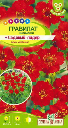 Гравилат чилийский САДОВЫЙ ЛИДЕР 0,1гр. многолетник (Семена Алтая)