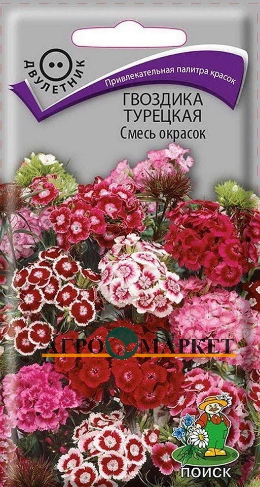 Гвоздика Турецкая СМЕСЬ ОКРАСОК 0,25гр. двулетник (Огородное изобилие) (Поиск) Гвоздика Турецкая СМЕСЬ ОКРАСОК 0,25гр. двулетник (Огородное изобилие) (Поиск)