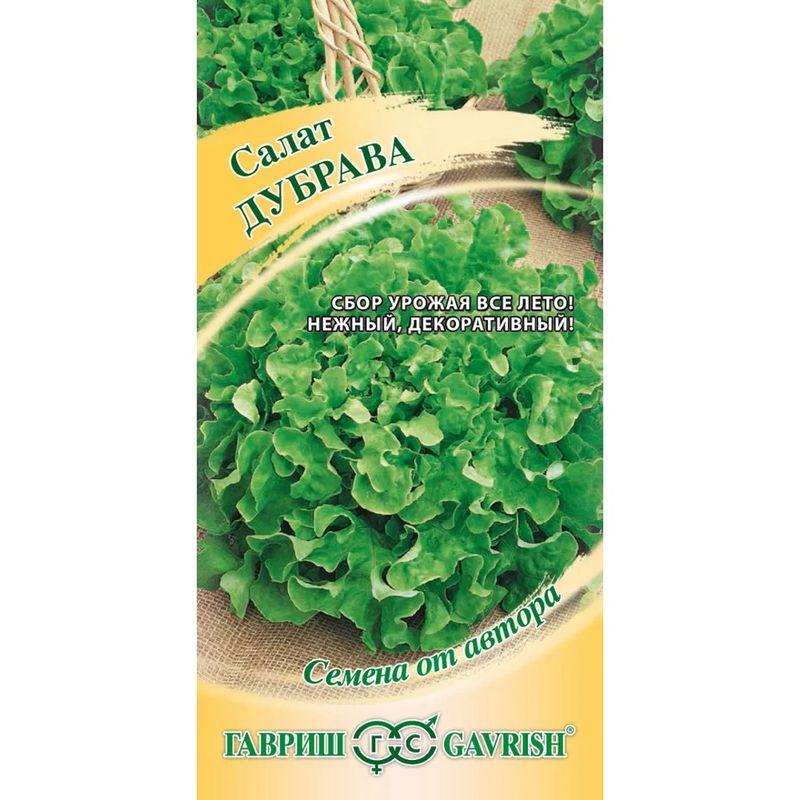 Салат ДУБРАВА 0,5г. листовой, маслянистый (Гавриш)