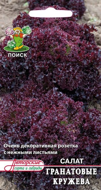 Салат ГРАНАТОВЫЕ КРУЖЕВА 1,0гр. (Поиск)