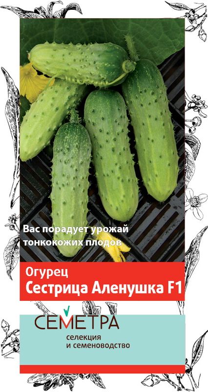 Огурец СЕСТРИЦА АЛЕНУШКА F1 0,5гр. (Семетра) (Поиск)