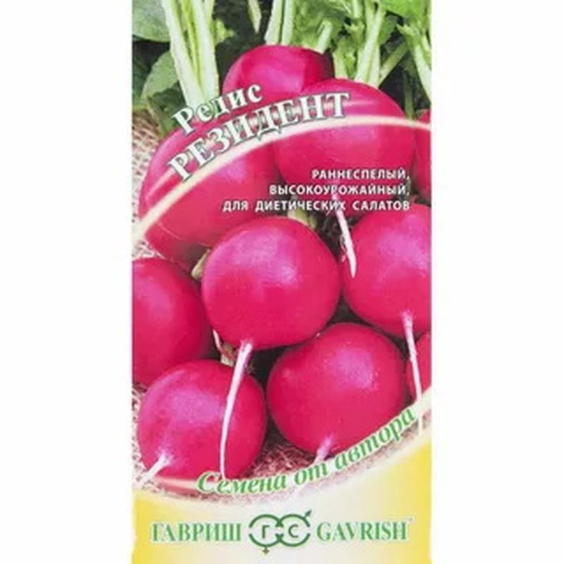 Редис РЕЗИДЕНТ 1,0г. (Гавриш)
