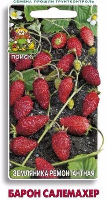 Земляника БАРОН СОЛЕМАХЕР (ремонтантная) 100шт. (Поиск)