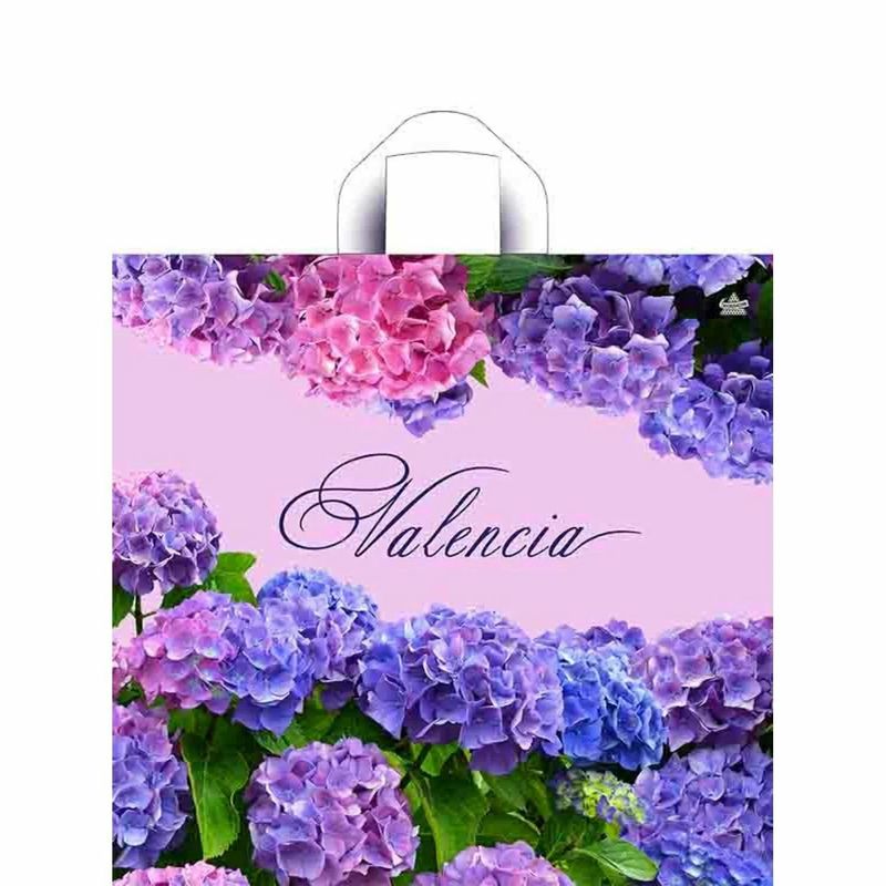 Пакет (петлевая руч.) 420*440мм. Валенсия 255297 Т-П