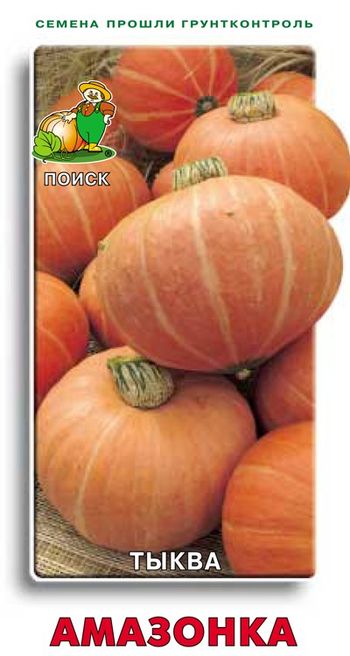 Тыква АМАЗОНКА крупноплодная 10шт. (Поиск)