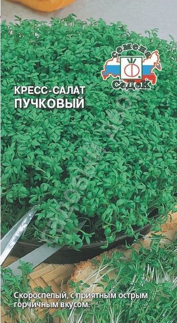 Салат ПУЧКОВЫЙ (кресс) 1,0гр. (СеДек)