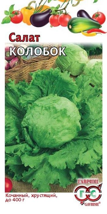 Салат КОЛОБОК кочанный, хрустящий, зеленый 0,5гр. Н9 (Гавриш)