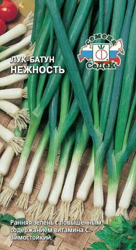 Лук батун НЕЖНОСТЬ 1,0гр. (СеДек)