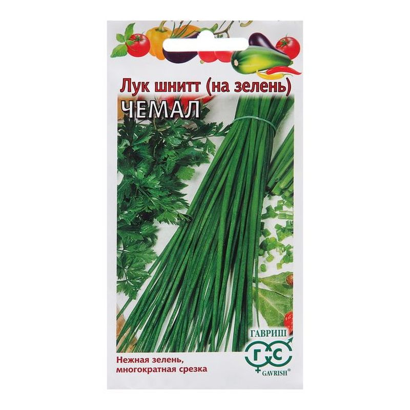 Лук шнитт ЧЕМАЛ 0,5г. на зелень (Гавриш)