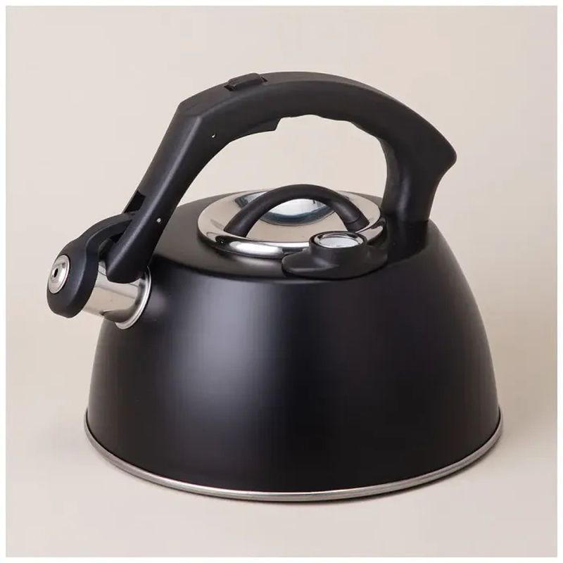 Чайник нерж. 908-065 3,0л. со свист. ВД