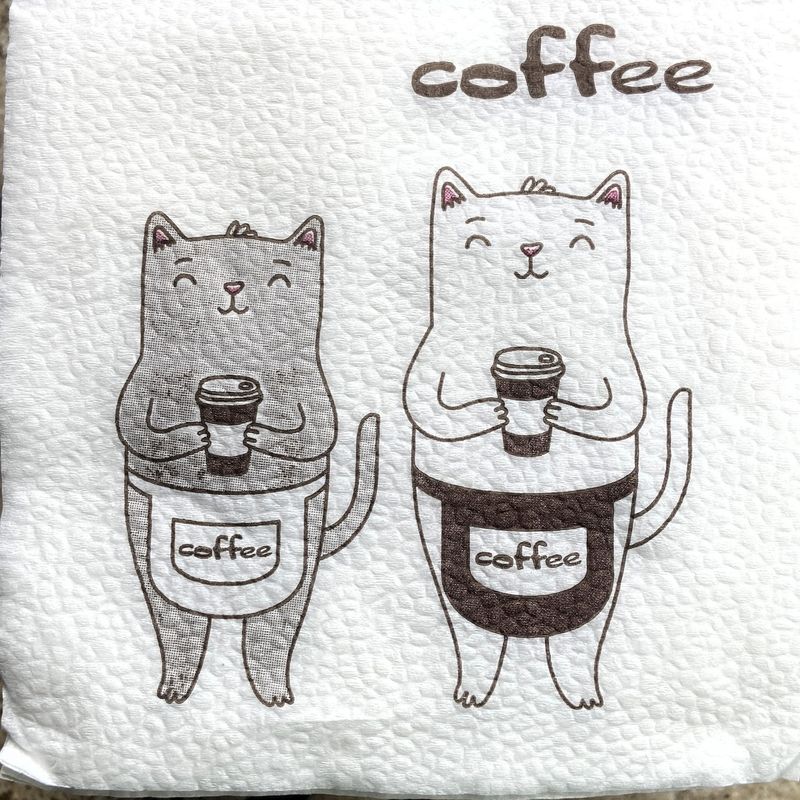 Салфетки бумажные 1сл. Bouguet Elegant 42565 (24*24см.) 100шт. "Cofe Cat" РБ