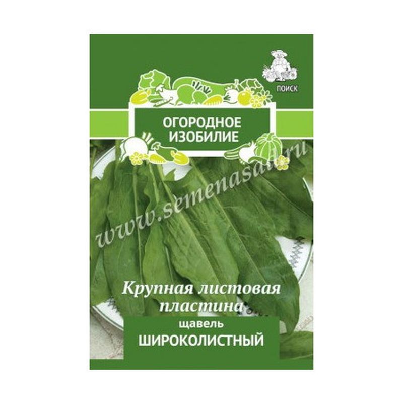 Щавель ШИРОКОЛИСТНЫЙ 1,0гр. (Огородное изобилие) (Поиск)
