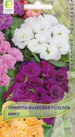 Примула махровая  РОЗЕЛЛА МИКС 5шт. (комнатная) (Поиск)