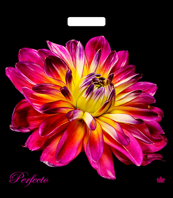 Пакет (вырубная руч.) 420*480мм. Перфекто Герцогиня 198230/299957 Т-П