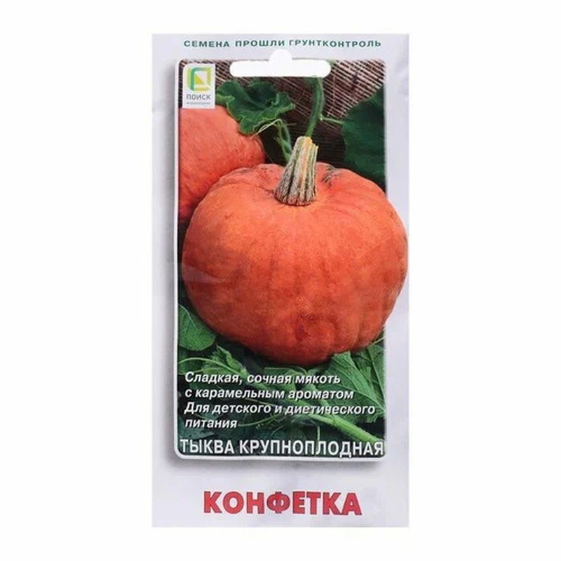 Тыква КОНФЕТКА крупноплодная 10шт. (Поиск)