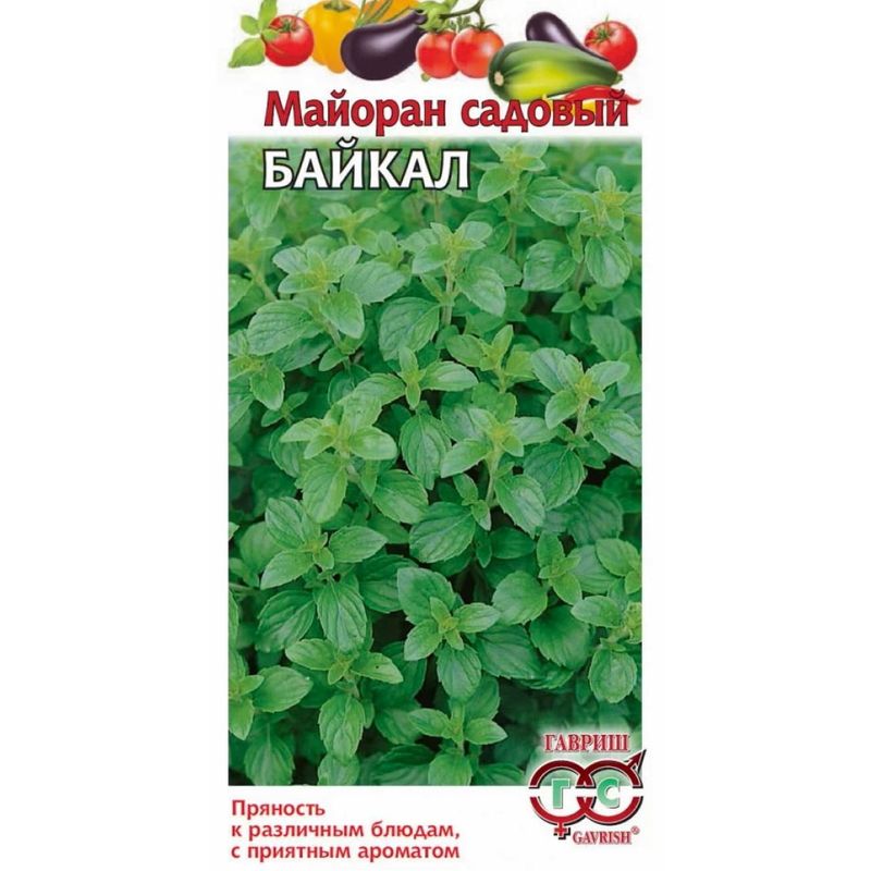 Майоран БАЙКАЛ 0,1г. (Гавриш)
