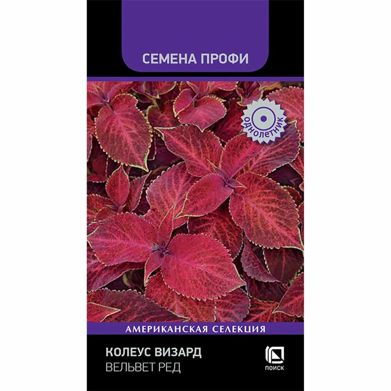 Колеус ВИЗАРД ВЕЛЬВЕТ РЕД  10шт. (Поиск)