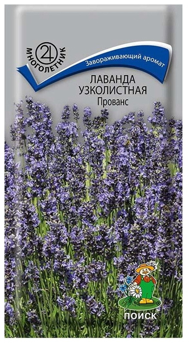 Лаванда узколистная ПРОВАНС 0,1гр. многолетник (Поиск)