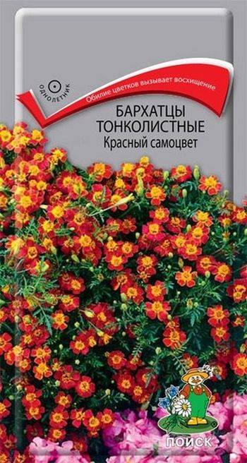 Бархатцы тонколистные КРАСНЫЙ САМОЦВЕТ 0,1гр. (Поиск)